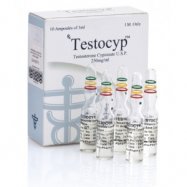 Testacyp 250 BM (Testosterone Cypionate)