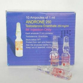 Androne 250 (Testosterone Enanthate)