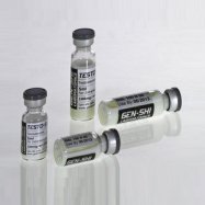 Testo-P 500 (5ml) (Testosterone Propionate)