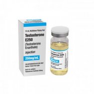 Testosterone E250 (Testosterone Enanthate)