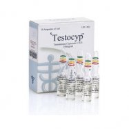 Testocyp - Testosterone Cypionate (Testosterone Cypionate)
