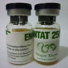 Enantat 250 (Testosterone Enanthate)