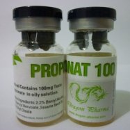 Propionat 100 (Testosterone Propionate)