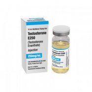 Testosterona E 250 (Testosterone Enanthate)