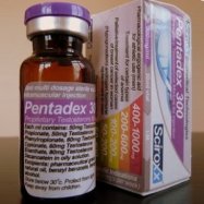 Pentadex 300 (Sustanon 250 - Testosterone Compound)