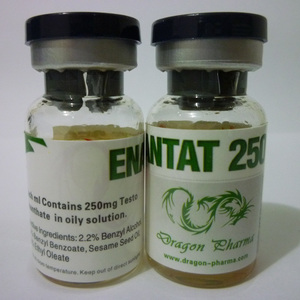 Enantat 250 (Testosterone Enanthate) - Click Image to Close