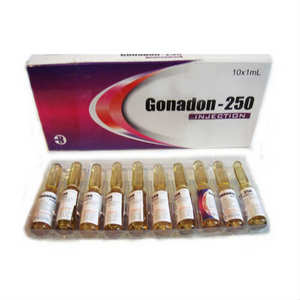 Gonadon 250 (Testosterone Blend) - Click Image to Close