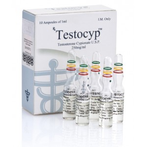 Testacyp 250 BM (Testosterone Cypionate) - Click Image to Close