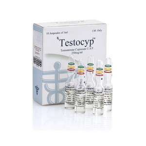 Testocyp - Testosterone Cypionate (Testosterone Cypionate) - Click Image to Close