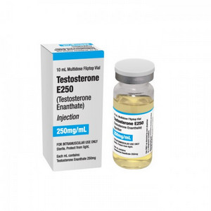 Testosterone E250 (Testosterone Enanthate) - Click Image to Close